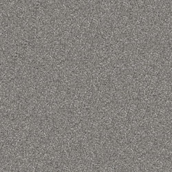 Masland Carpets Hunter Rin Tin Tin Masland