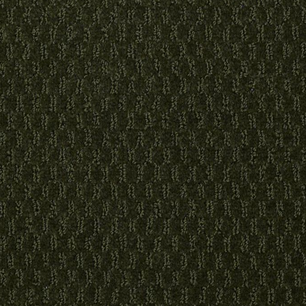 Philadelphia Commercial Latest Trend Mount Holly Shaw