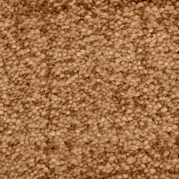 Dixie Home Mystique Gilded Glamour