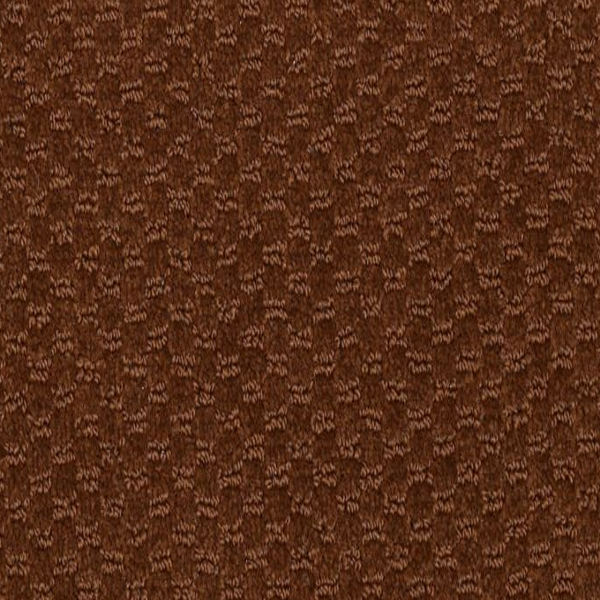 Philadelphia Commercial Latest Trend Brown Bear Shaw