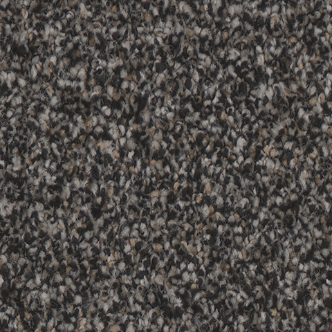 Tarkett Home Carpets Summerland Stunning LEXMARK