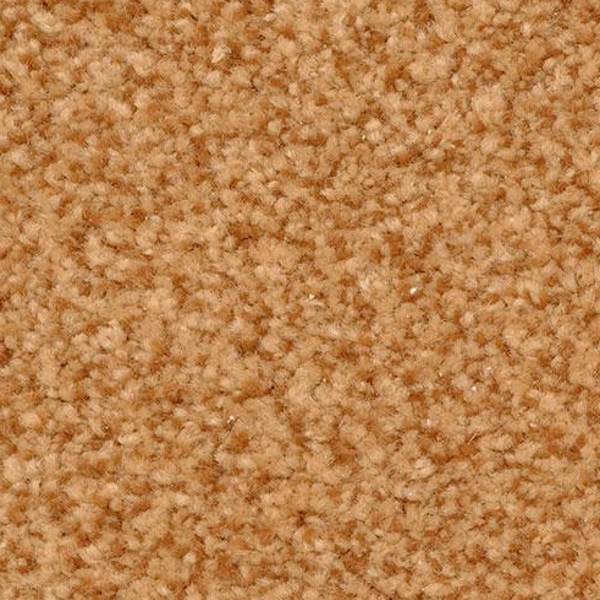 Dixie Home Semitones Chip