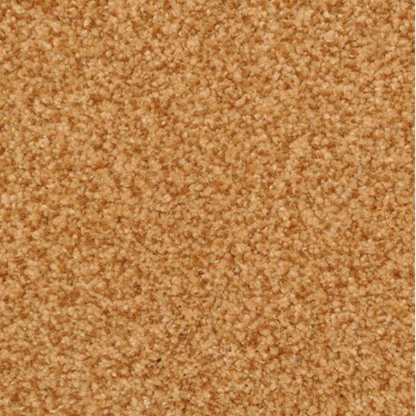 Dixie Home Chromatic Touch Chip