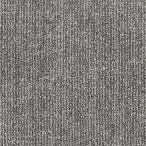 Dixie Home Tabby Tom