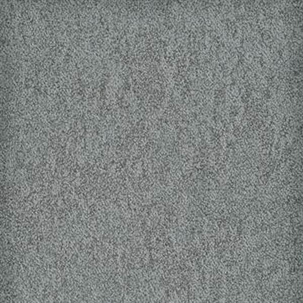 Masland Carpets Buena Vida Carbon Masland