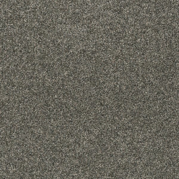 Dreamweaver Carpet Astounding I Anchors Aweigh DREAMWEAVER