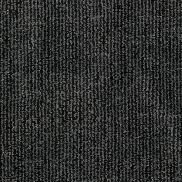 Dixie Home Tabby Felix