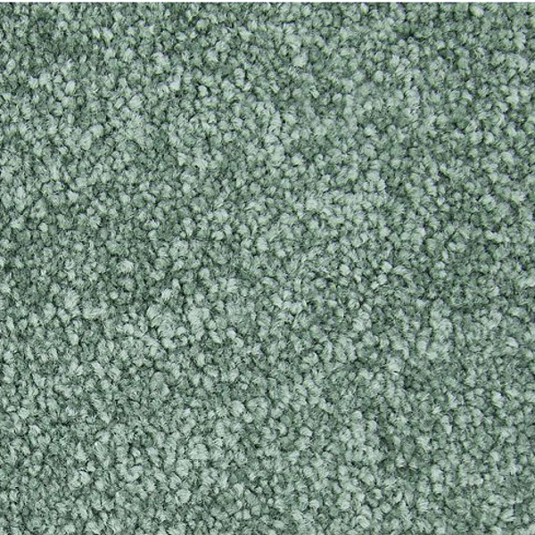 Horizon Carpet Striking Option Aloe Mohawk