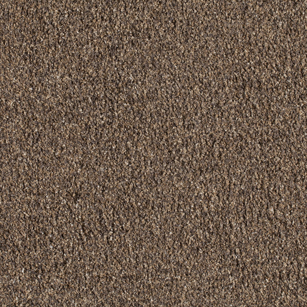 Milliken Carpets Crown Suite Antique Shutter