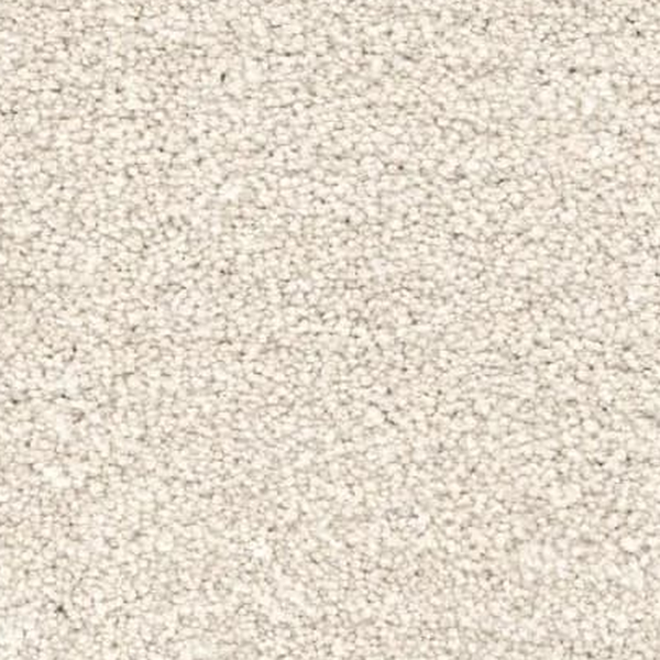 Revolution Mills Denali Beach Sand