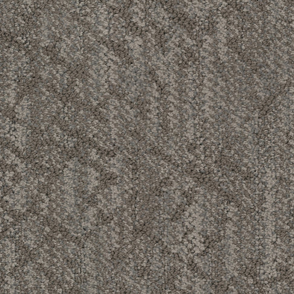 Masland Carpets Circuitry Birch Masland