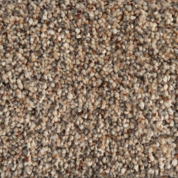Patriot Mills Carpet Bishops Court Bright Earth PATRIOT MILLS