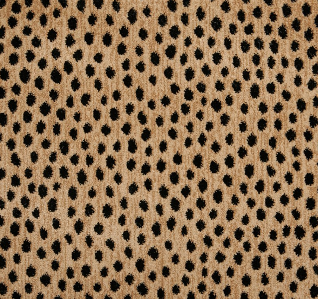 Stanton Carpet Dottie Bronze Stanton