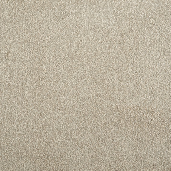 Stanton Carpet Muse Cameo Stanton