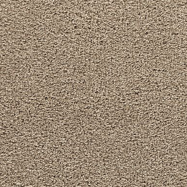 Mohawk Carpet Bold Choice Cape Cod Mohawk