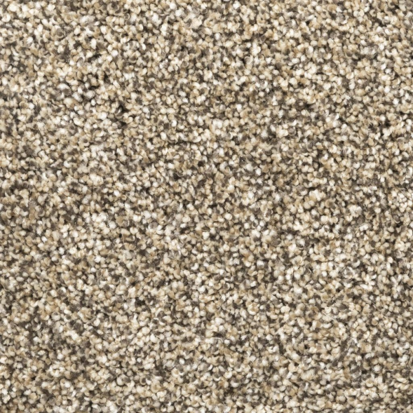 Patriot Mills Carpet Legacy Plus Cappucino PATRIOT MILLS
