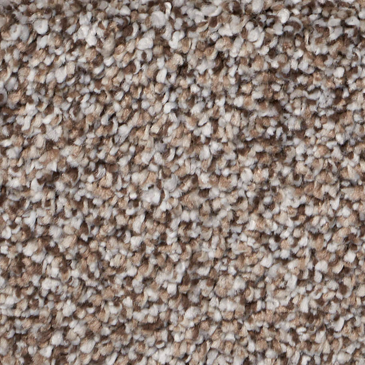 Southwind Exalted Prime Celebrate