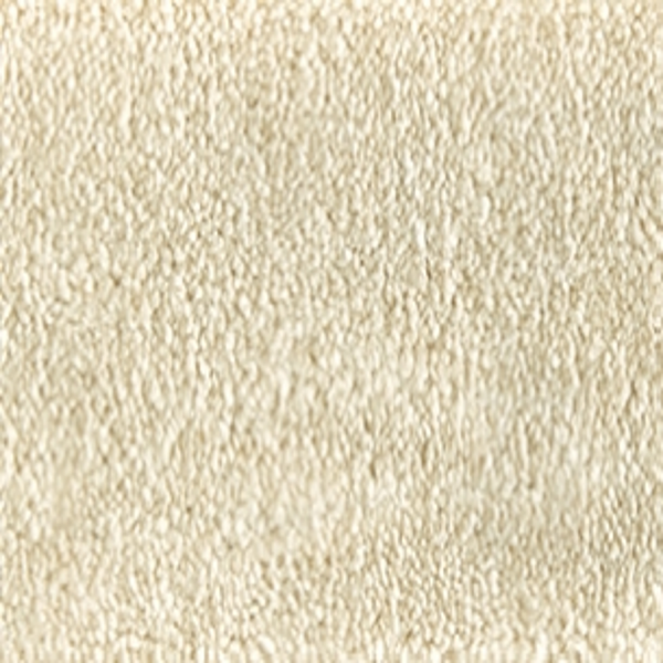 Atelier Carpet Velveteen Champagne STANTON