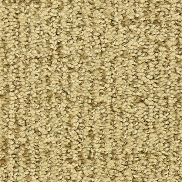 Dixie Home Victor Champion