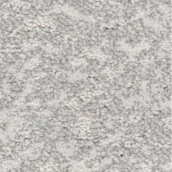 Revolution Mills Van Gogh Charcoal