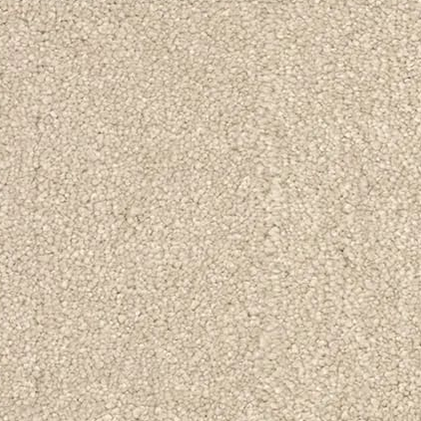 Revolution Mills Denali Coastal