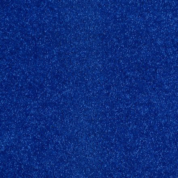 Shaw Floors Dalton 40 12 Cobalt SHAW