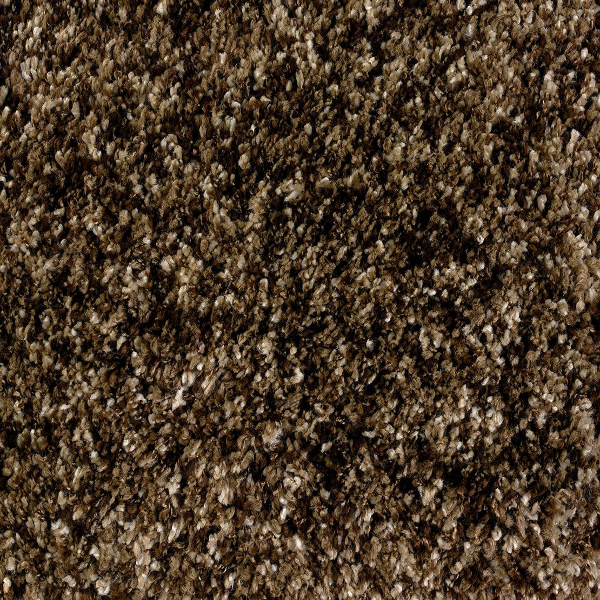 Stanton Carpet Shaggy Plush Cocoa Stanton