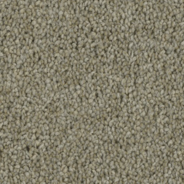 Phenix Carpets Entice Compel PHENIX