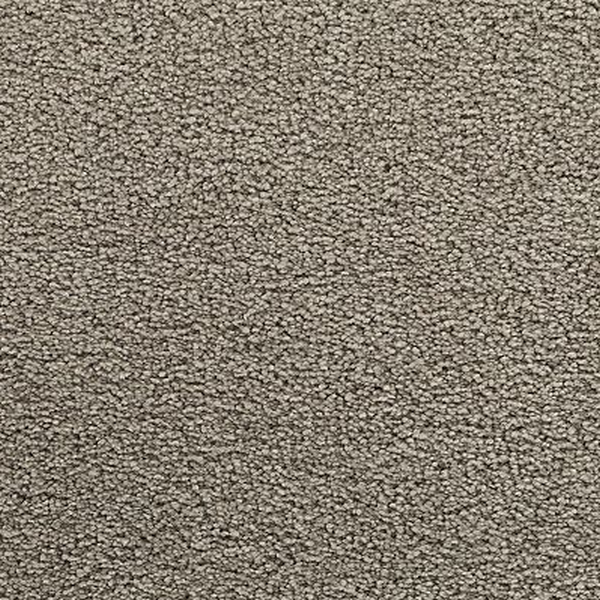 Mohawk Carpet Bold Choice Cosmopolitan Mohawk