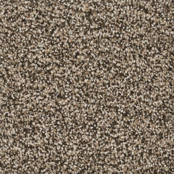 Revolution Mills Naples Creek Bed