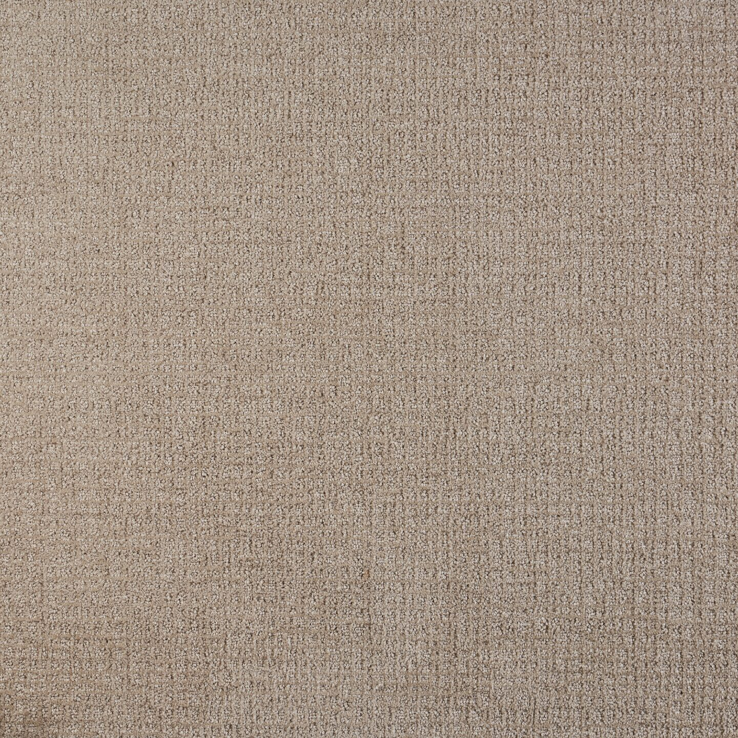 Southwind Fanciful Delicacy