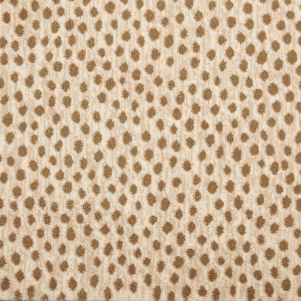 Stanton Carpet Dottie Desert Stanton