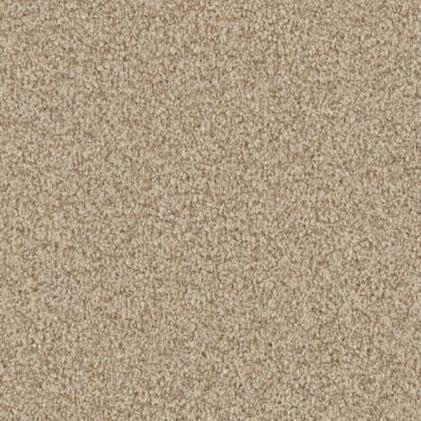 Masland Carpets Santa Rosa Driftwood Masland