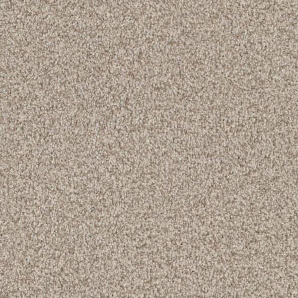 Masland Carpets Santa Rosa Dry Dock Masland