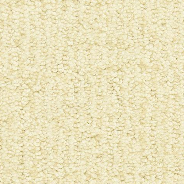 Dixie Home Victor Elite