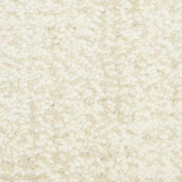 Dixie Home Mystique Etched Glass