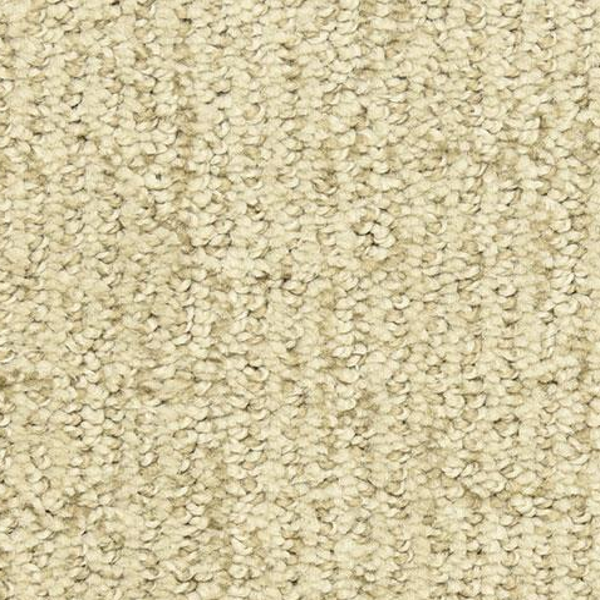 Dixie Home Victor First Choice