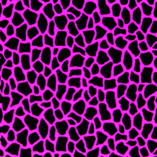 Joy Carpet Midnight Safari CL Fluorescent Light