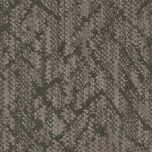 Masland Carpets Circuitry Foliage Masland