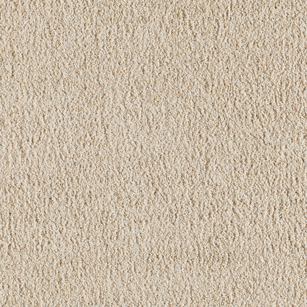 Milliken Carpets Crown Suite Premier French Flavor