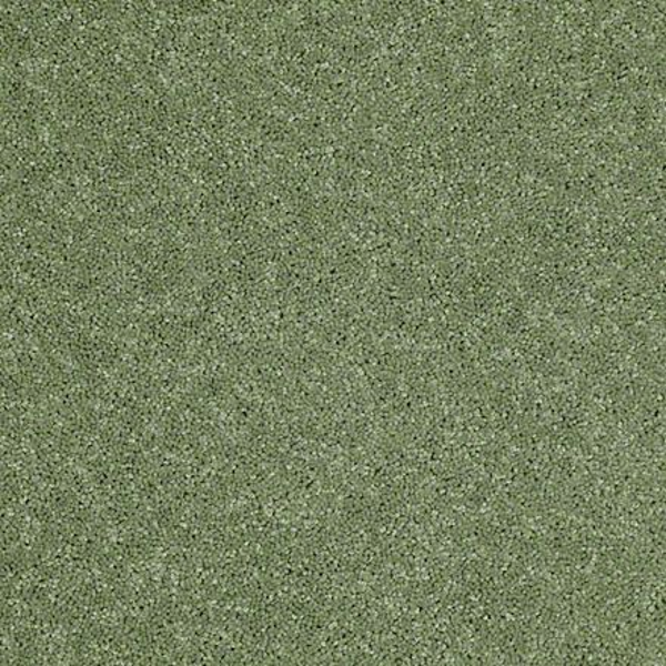 DesignTek Carpet Dalton 30 12' Going Green DESIGNTEK