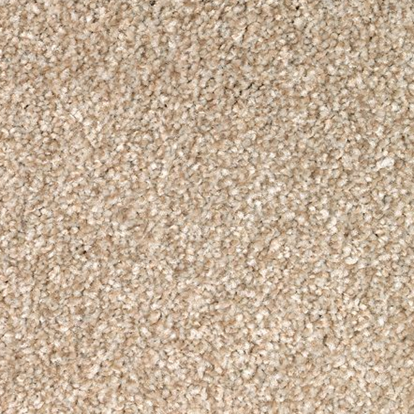 Mohawk Carpet True Harmony Harmony Mohawk