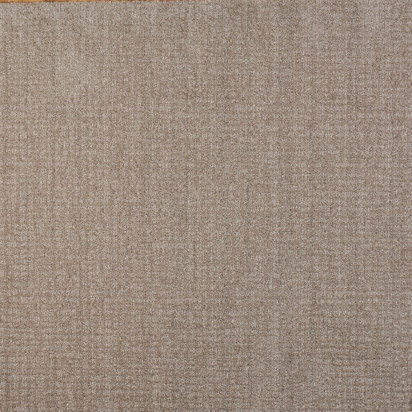 Southwind Fanciful Intricate