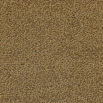 J. Mish Inc. Wool Tip Shear Mocha J MISH INC