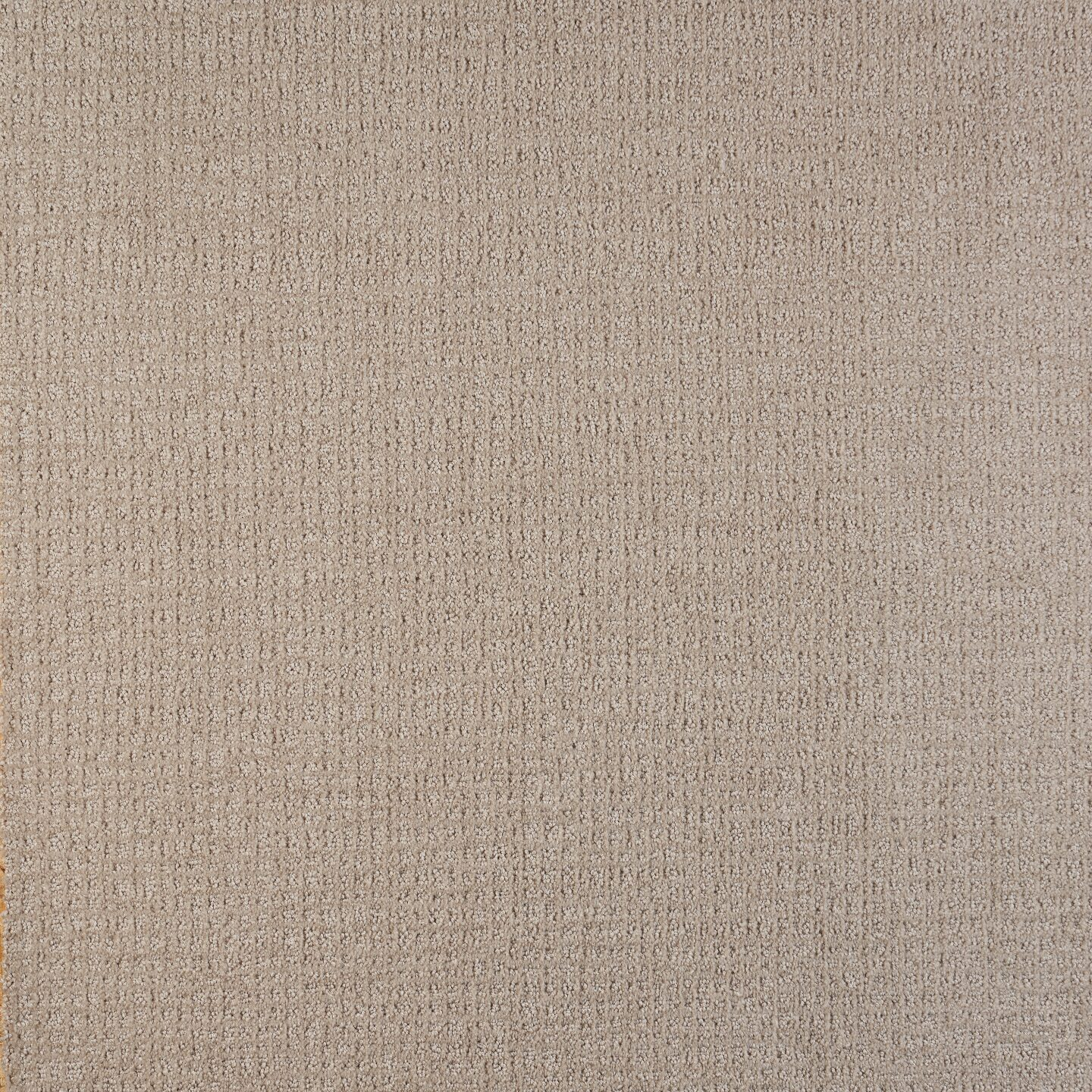 Southwind Fanciful Lace