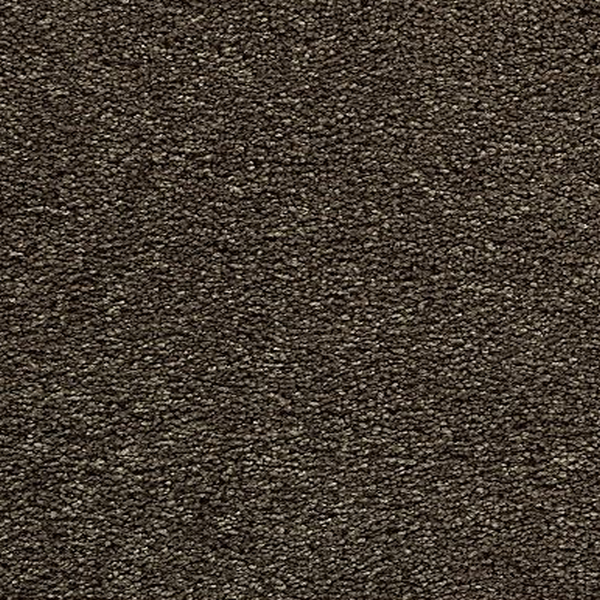 Mohawk Carpet Bold Choice Longhorn Mohawk