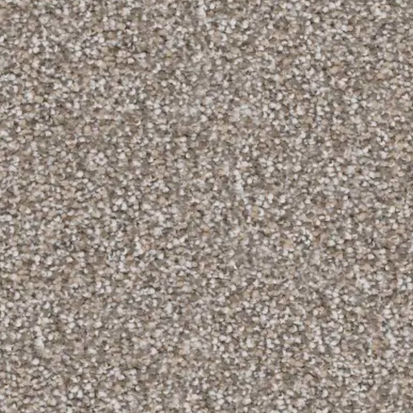 Revolution Mills Rainier Lookout