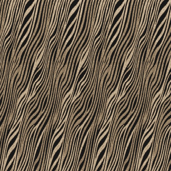 Kane Carpet Sahara Mali KANE