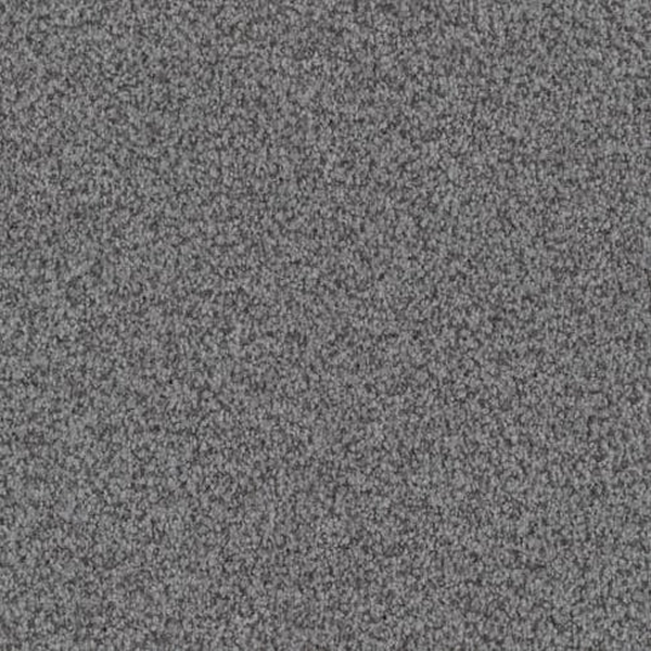 Masland Carpets Santa Rosa Manatee Masland