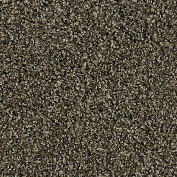 Mohawk Carpet Natural Opulence I Mission Mohawk